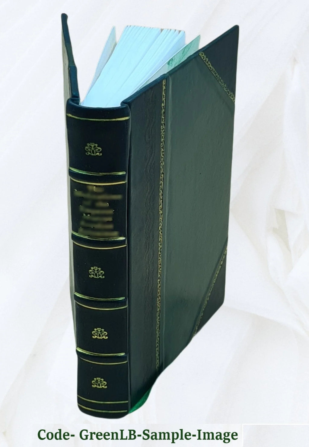 Leather Bound Book A770744