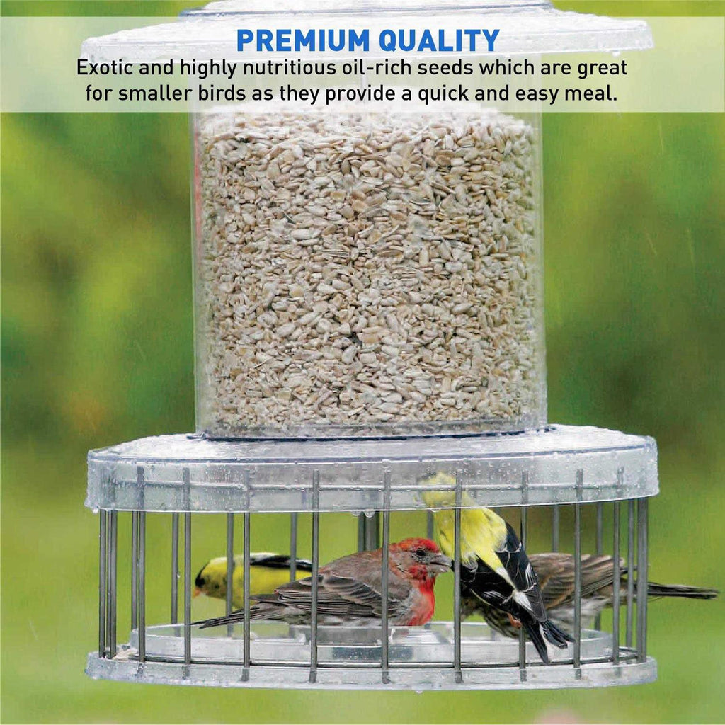 Sunflower Kernels Wild Bird Food 50 lb R770640