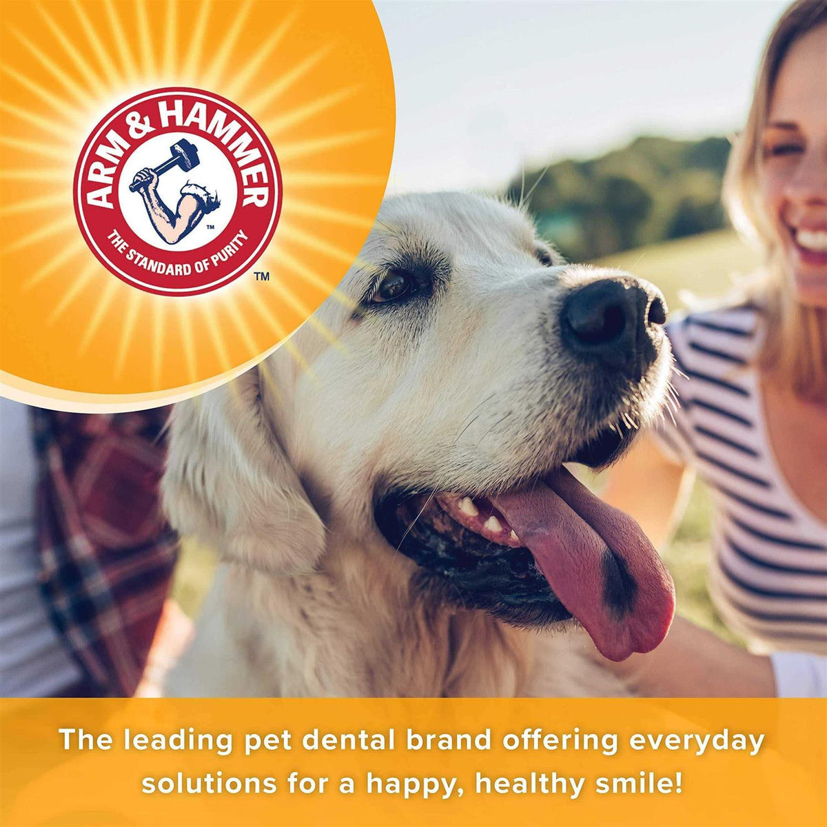 Fresh Breath Dental Spray for Dogs K489877