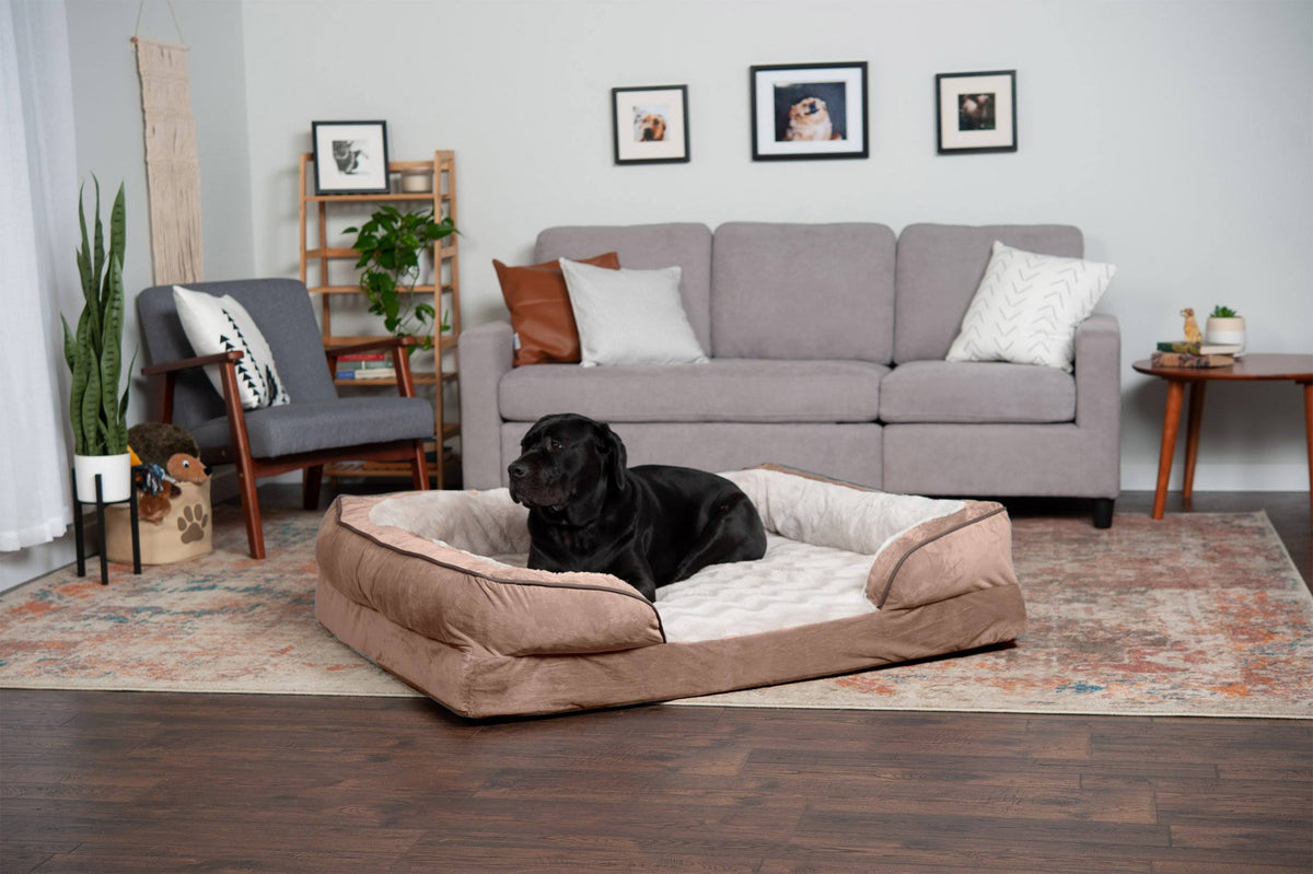 Celadon Green Velvet Sofa Dog Bed M921