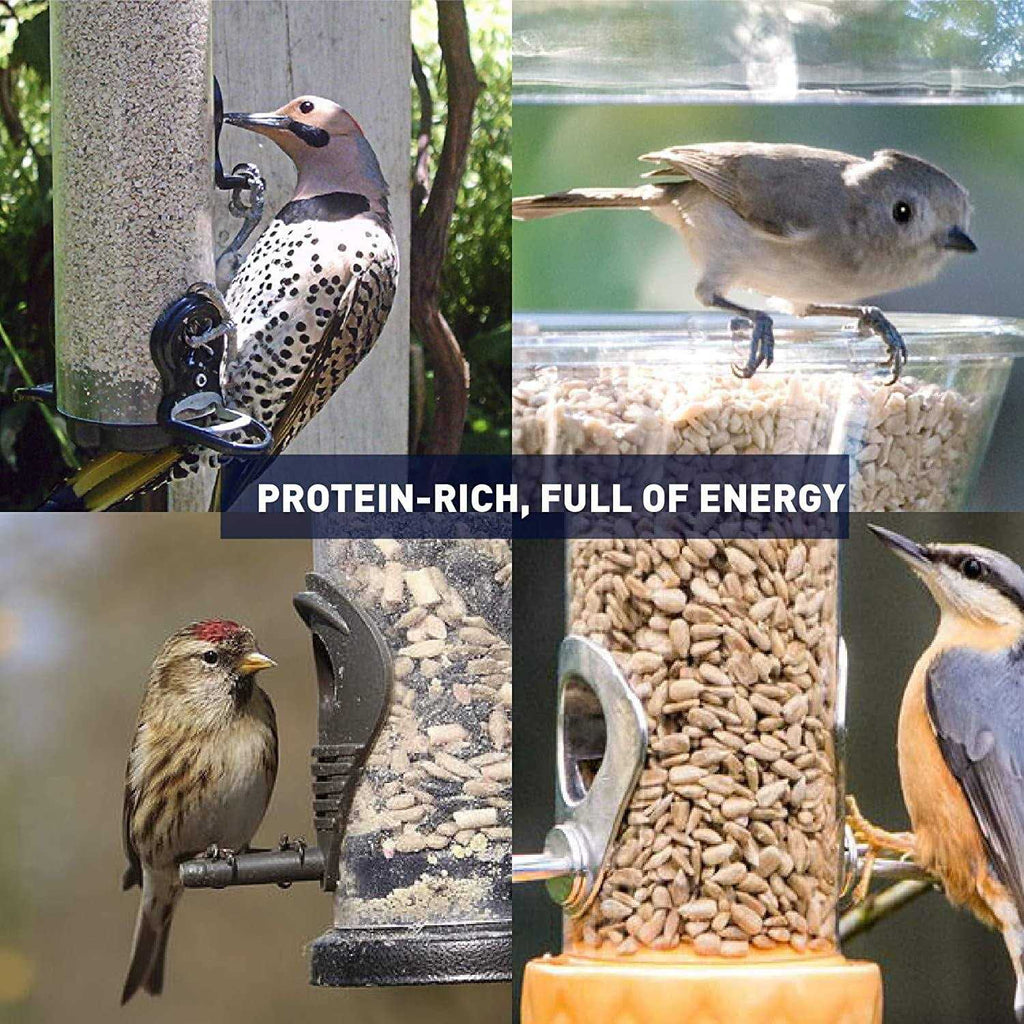Sunflower Kernels Wild Bird Food 50 lb R770640