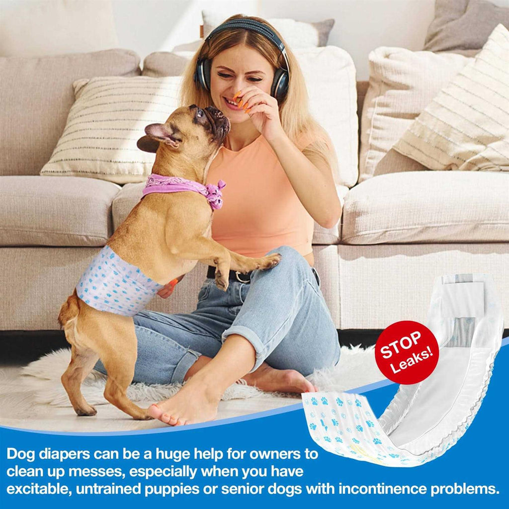 Soft Disposable Male Dog Wraps H388417