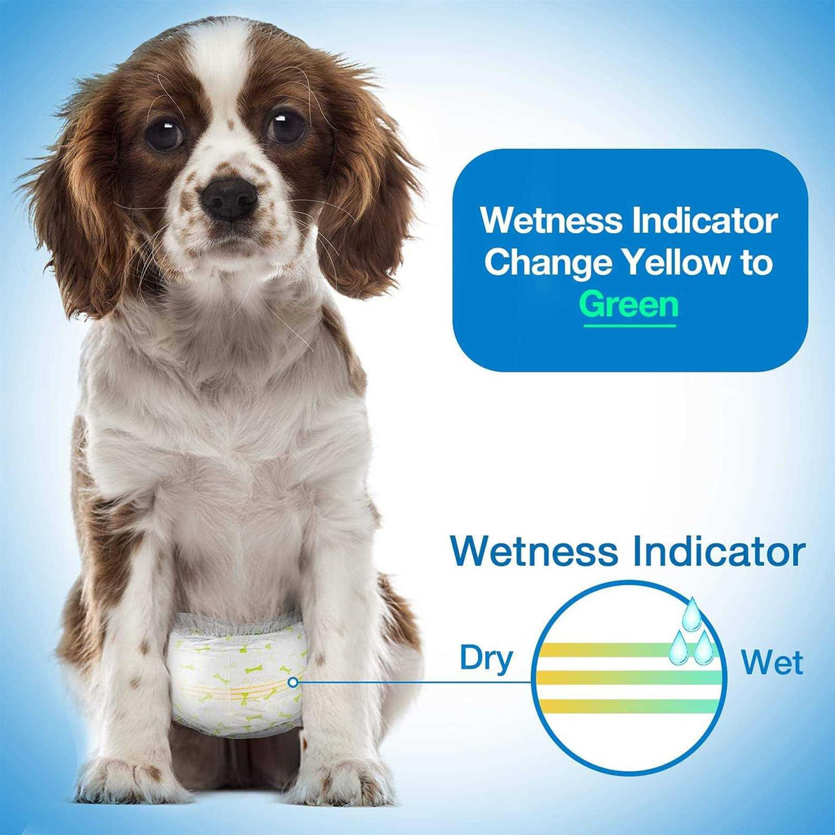 Soft Disposable Male Dog Wraps H388417