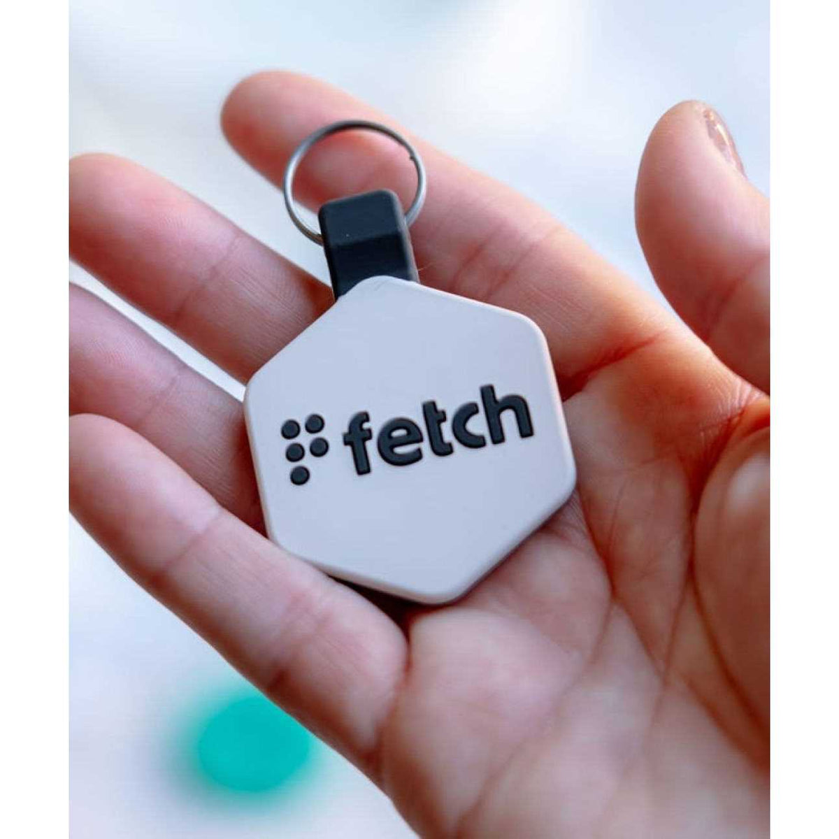 Digital Pet ID Tag G38881