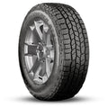 All-Season 245/65R17XL 111T Tire N239349