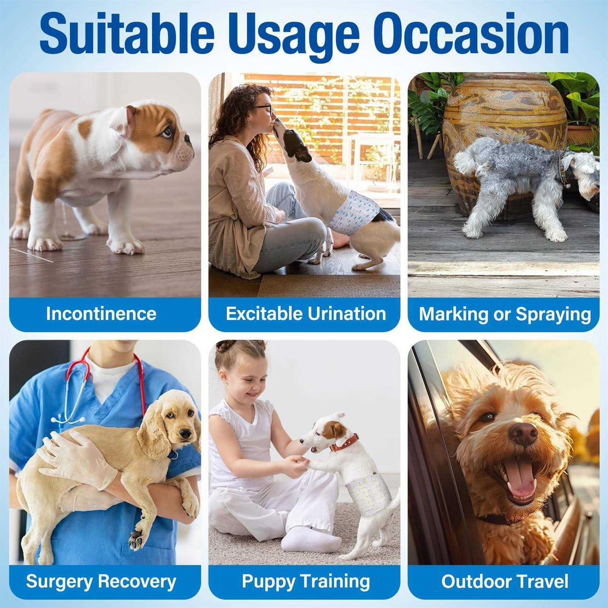 Soft Disposable Male Dog Wraps H388417
