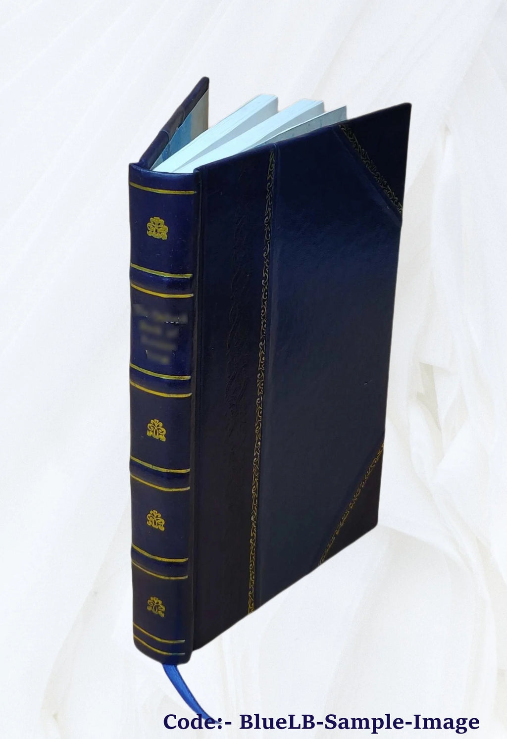 Leather Bound Book A770744