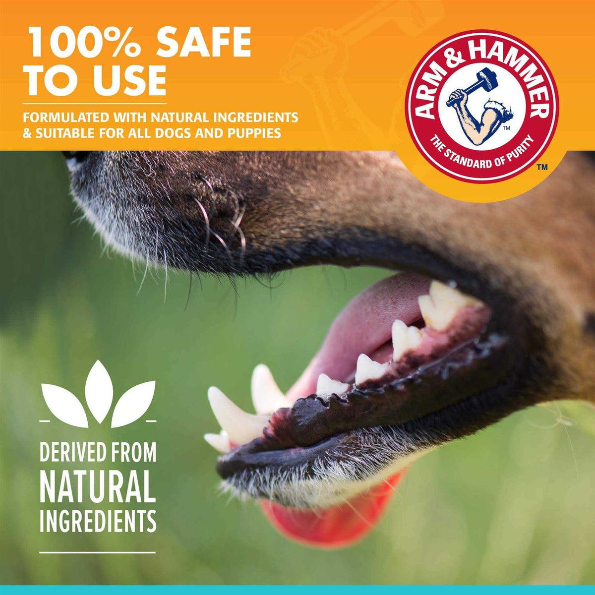 Fresh Breath Dental Spray for Dogs K489877