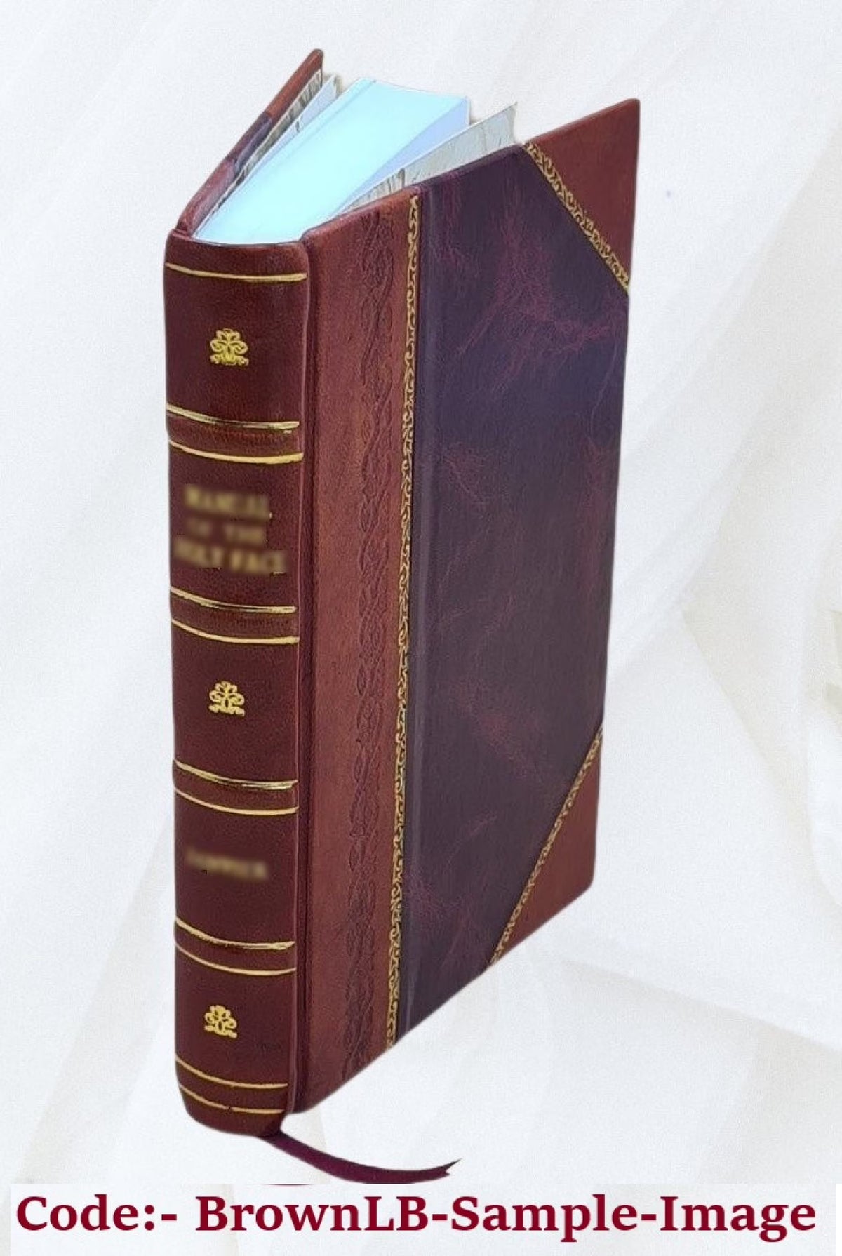 Leather Bound Book A770744