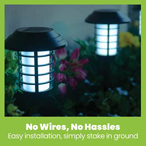 Solar Pathway Lights, 4 Packs D931226
