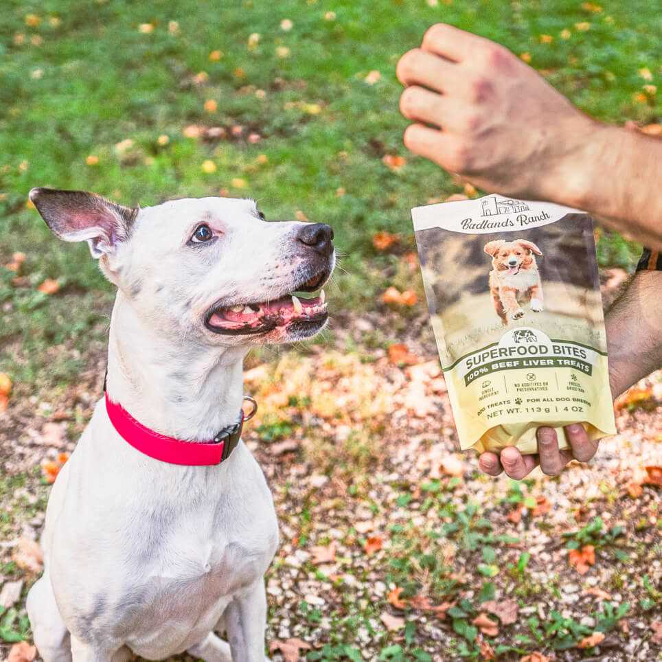 Beef Liver Treats 4 oz O840744