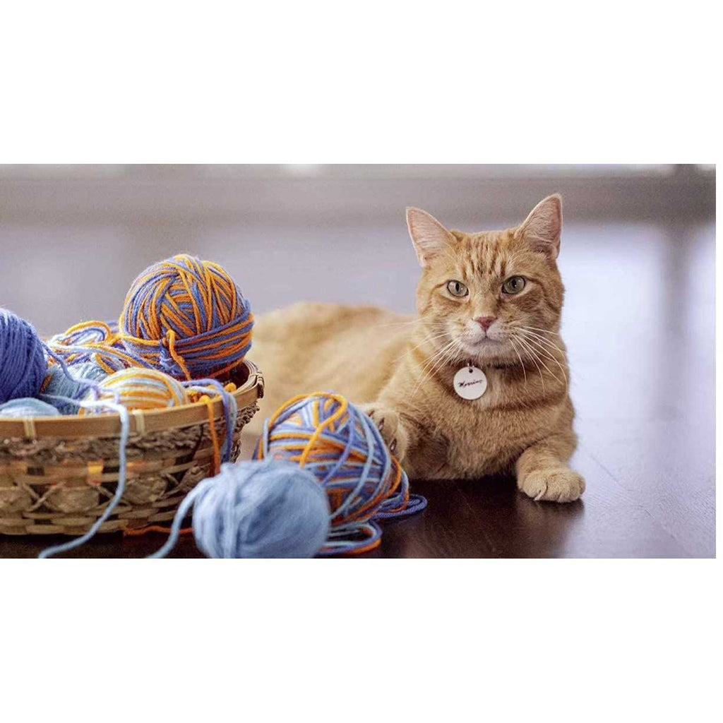Tuna Cat Food T565