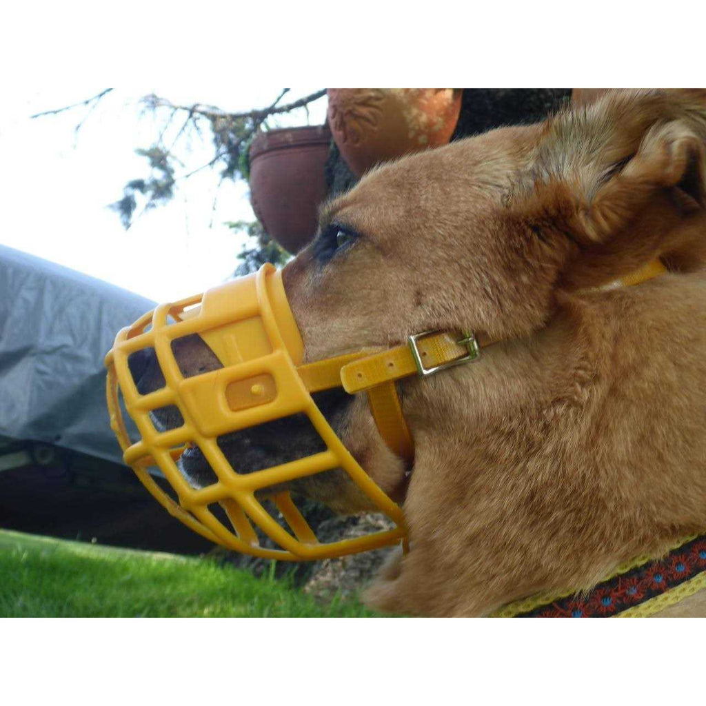 Plastic Dog Muzzle with Adjustable Headstall Z6991
