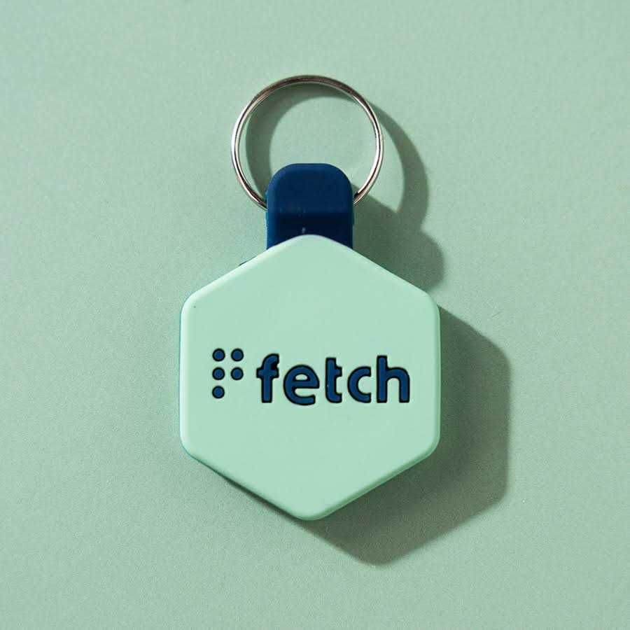 Digital Pet ID Tag G38881
