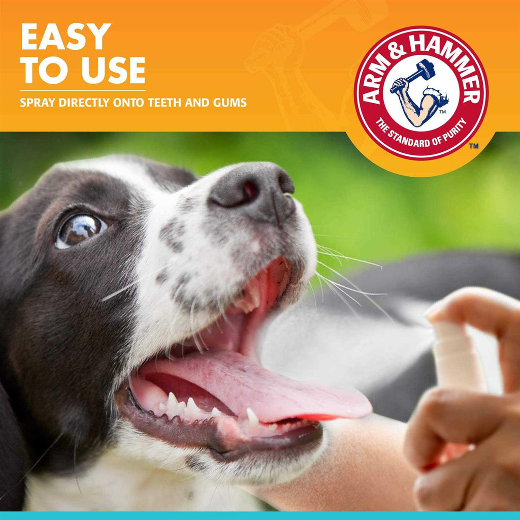 Fresh Breath Dental Spray for Dogs K489877
