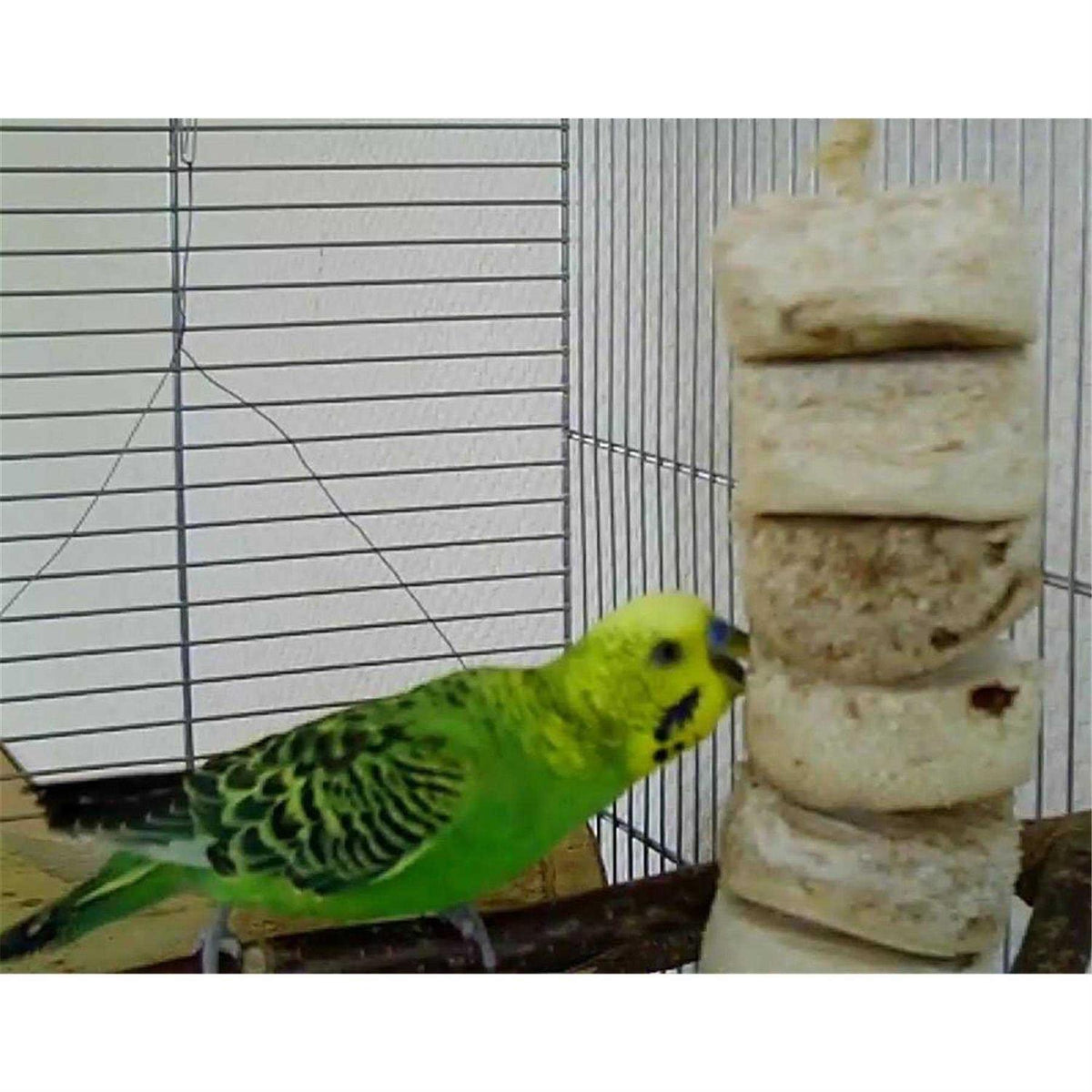 Bird Kabob Toy L7482