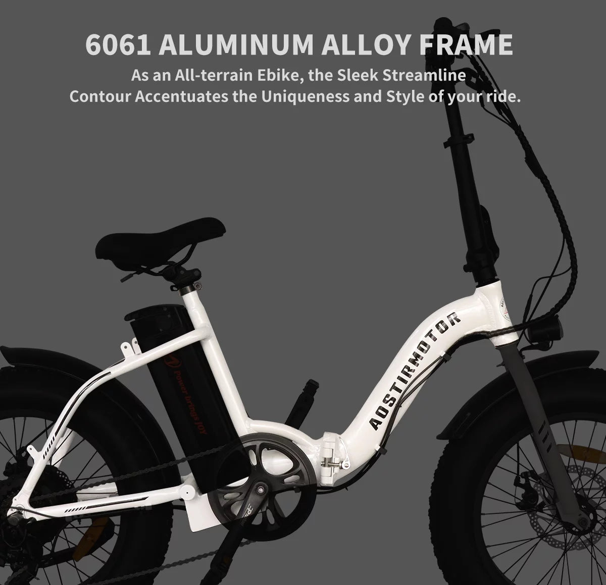 Folding Electric Bike 20 inch Fat Tire 500W 36V 13AH V7739